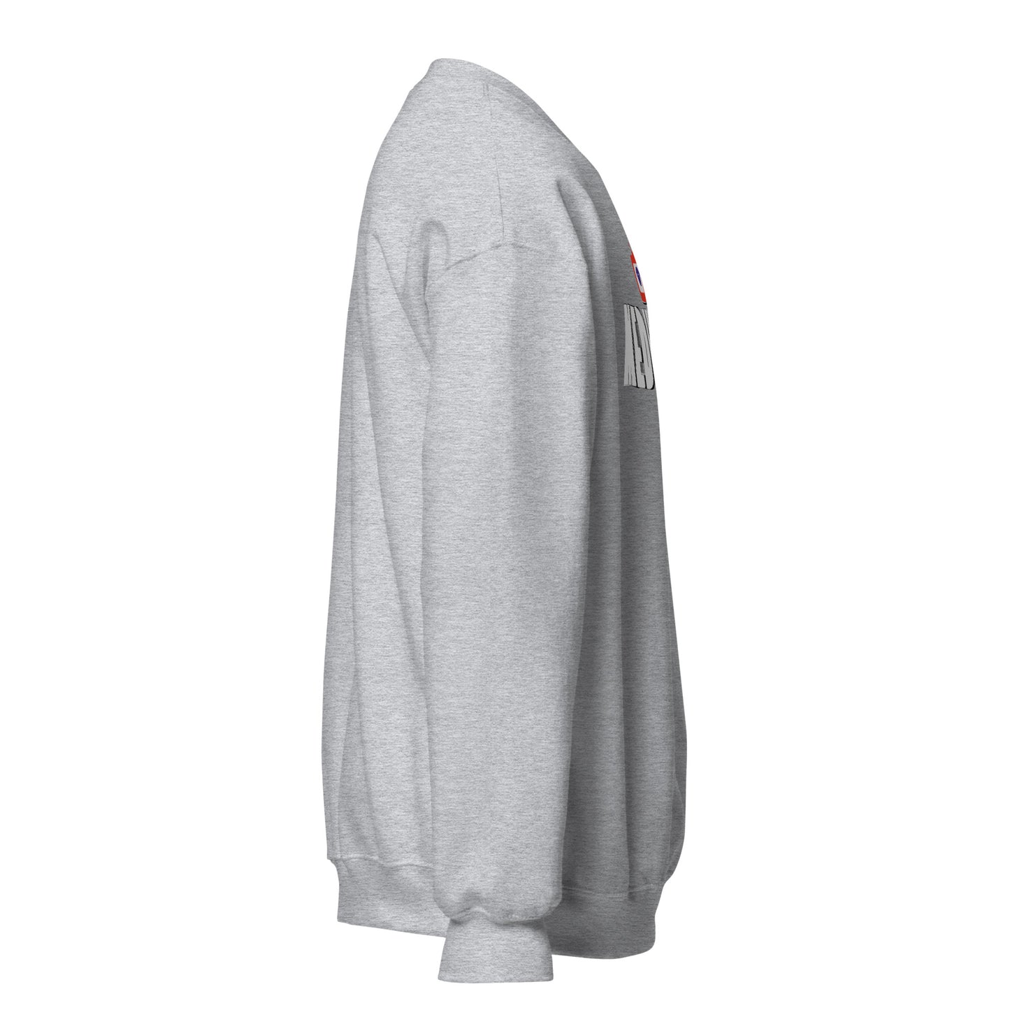 Medienfuzzi PULLOVER Unisex